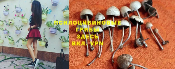 jwh Алексеевка