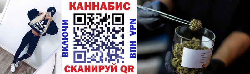 как найти закладки  Ржев  Шишки марихуана ГИДРОПОН 